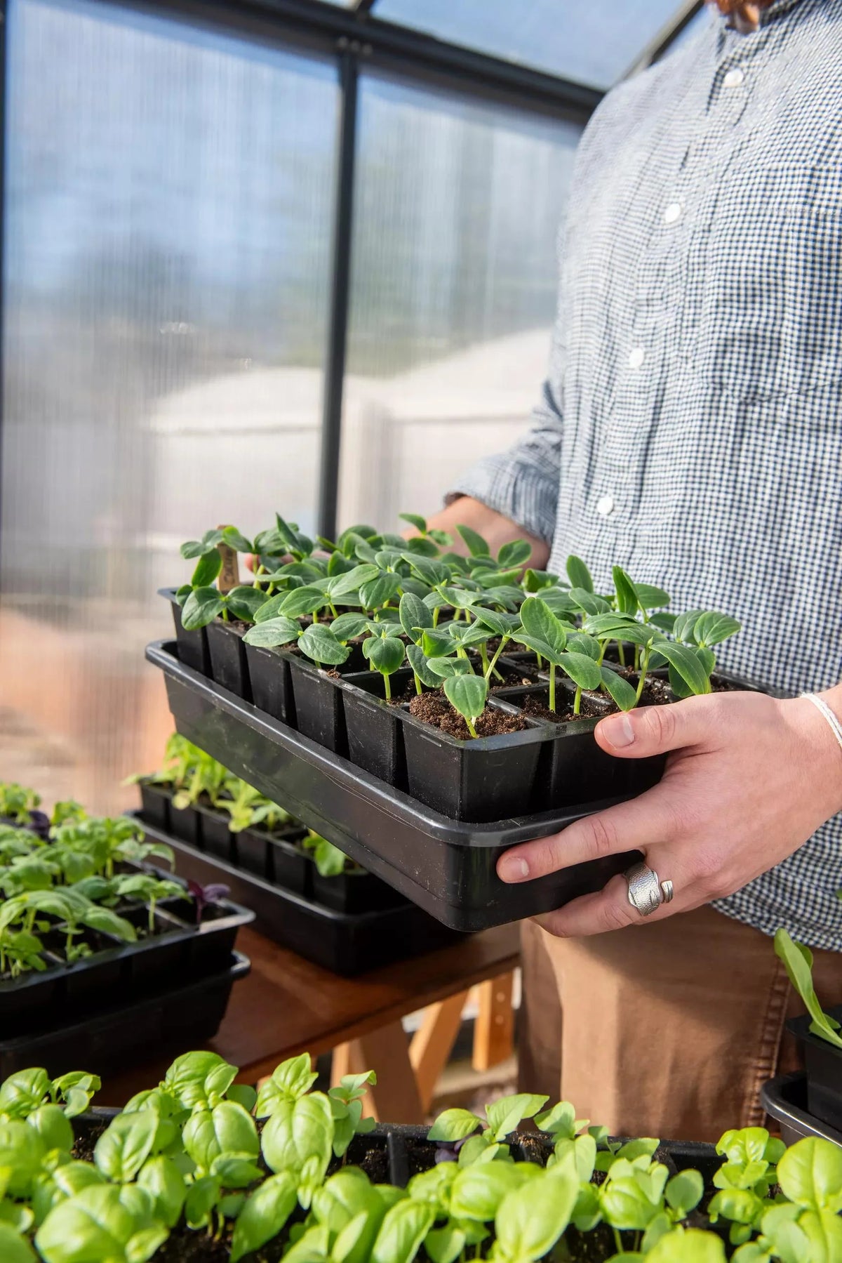 Seed Starter Kit Self-Watering BPA-Free Reusable