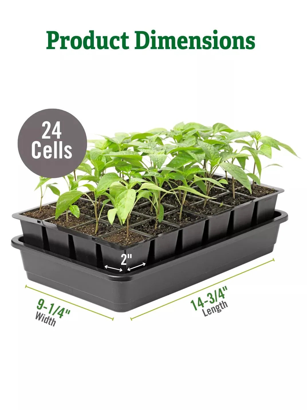 Seed Starter Kit Self-Watering BPA-Free Reusable