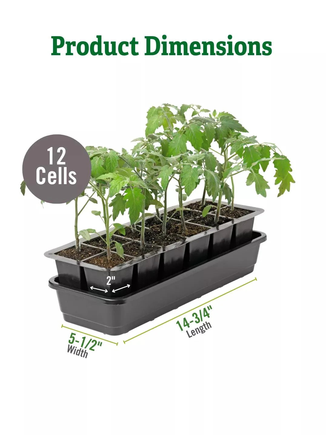 Seed Starter Kit Self-Watering BPA-Free Reusable