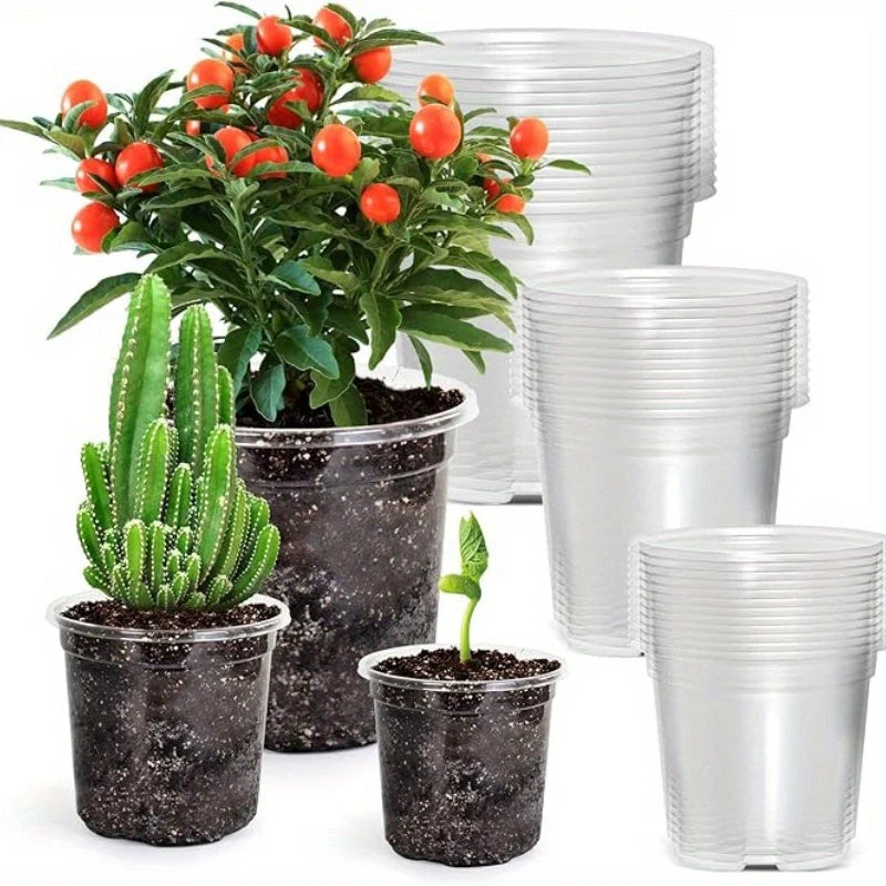 Seedling Pots Clear Reusable Drainage Holes Set of 15