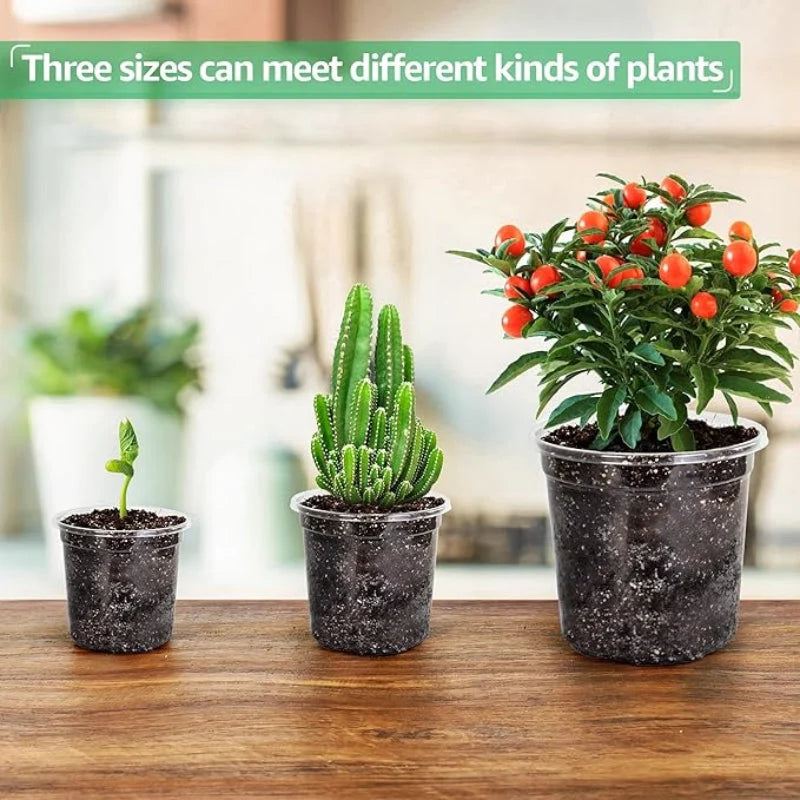 Seedling Pots Clear Reusable Drainage Holes Set of 15