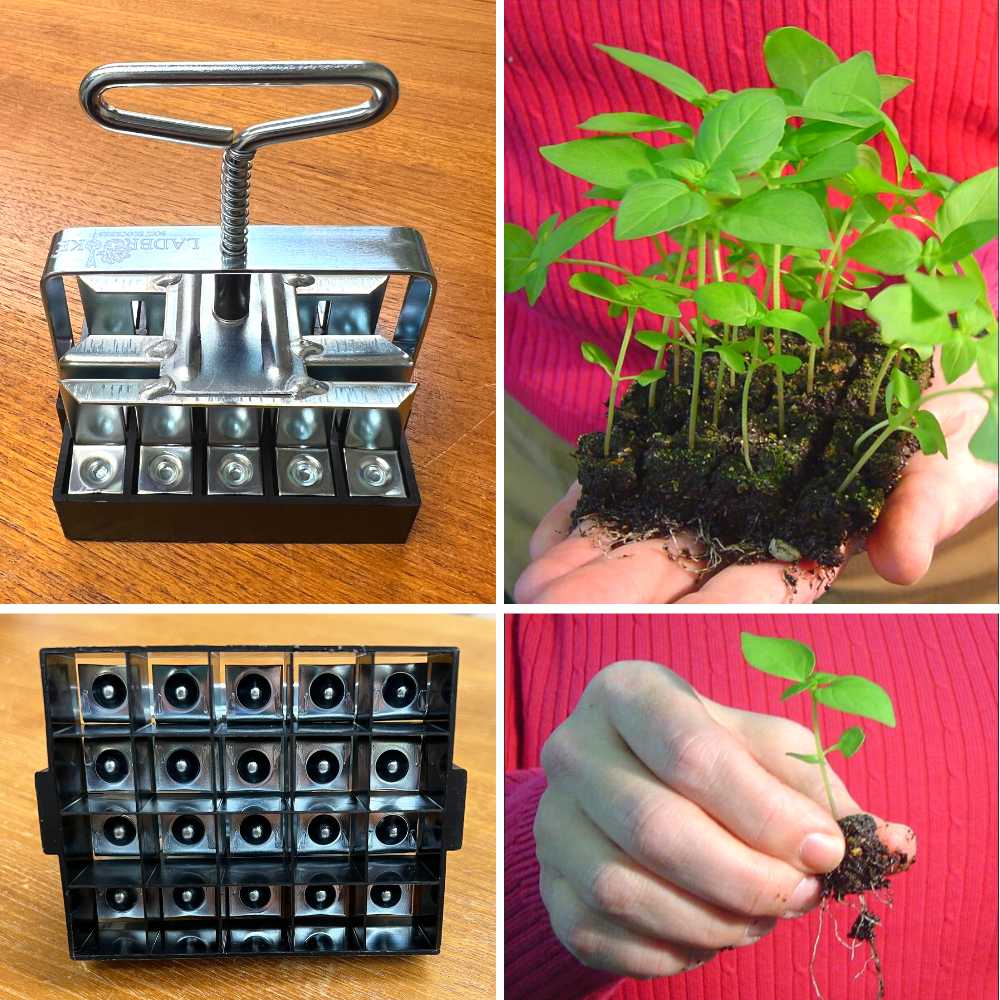 Soil Block Maker Zinc-Plated Steel Makes 20 Blocks