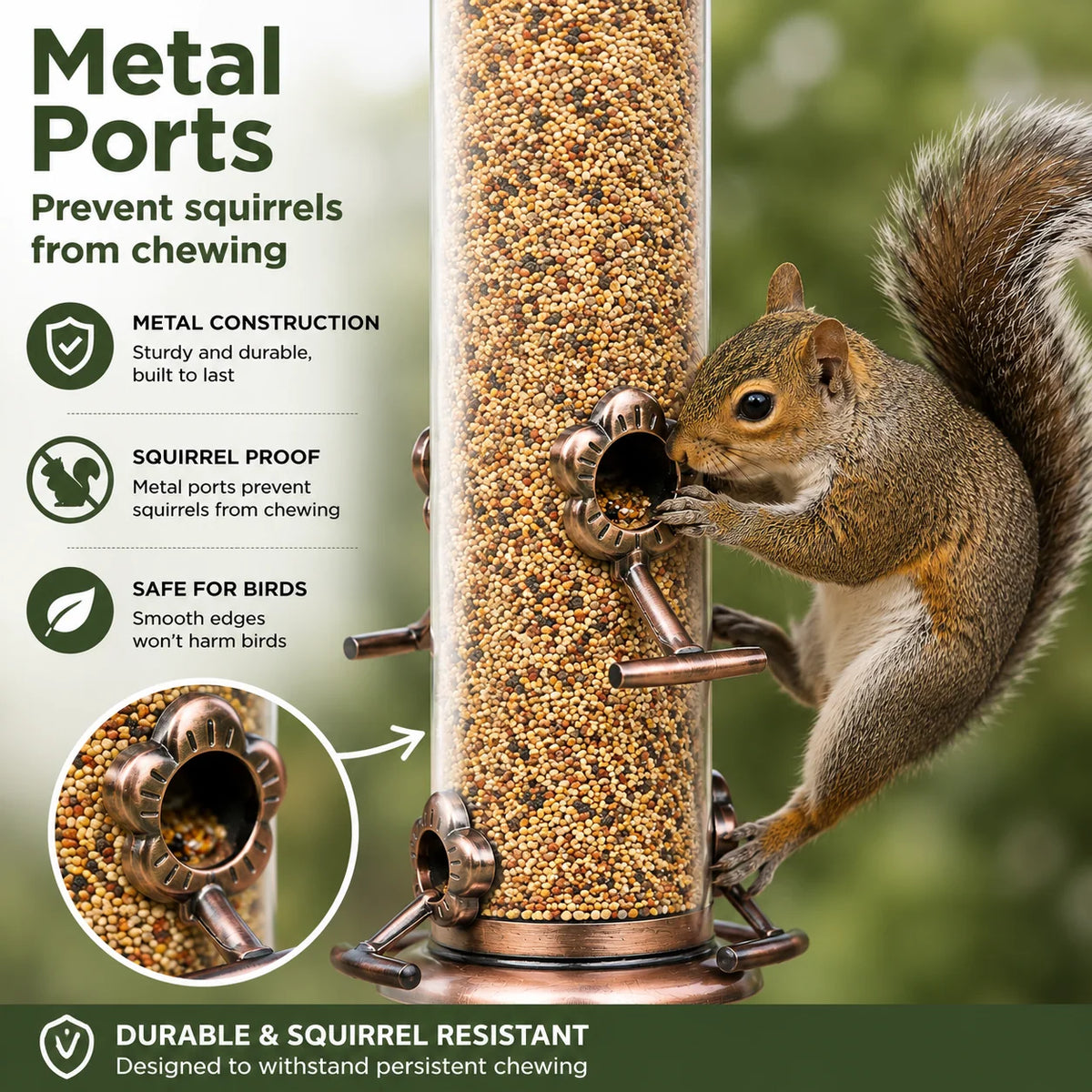 Tube Bird Feeder Stainless Steel Squirrel-Resistant Hanging