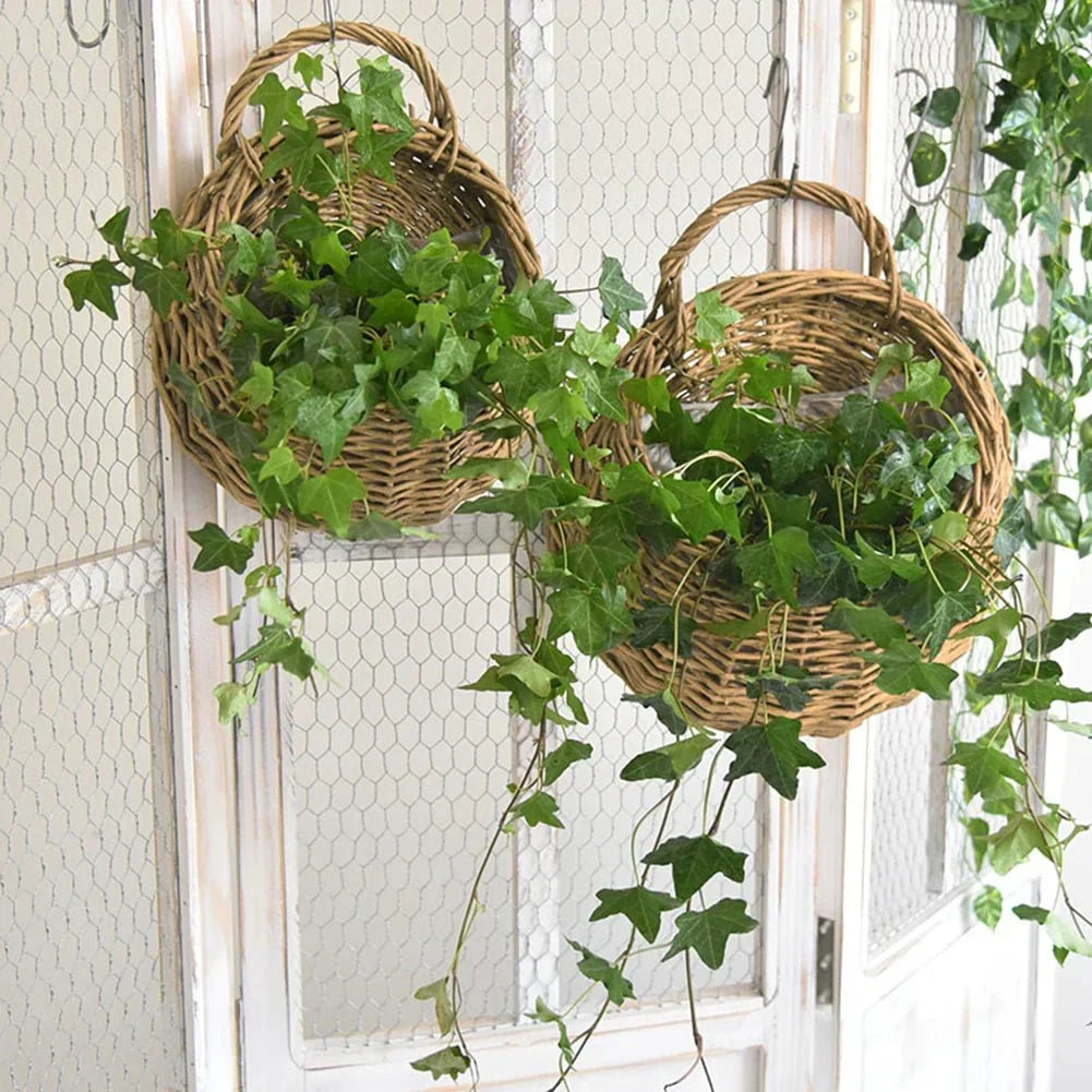 Wall Planter Handwoven Natural Rattan Space-Saving Display