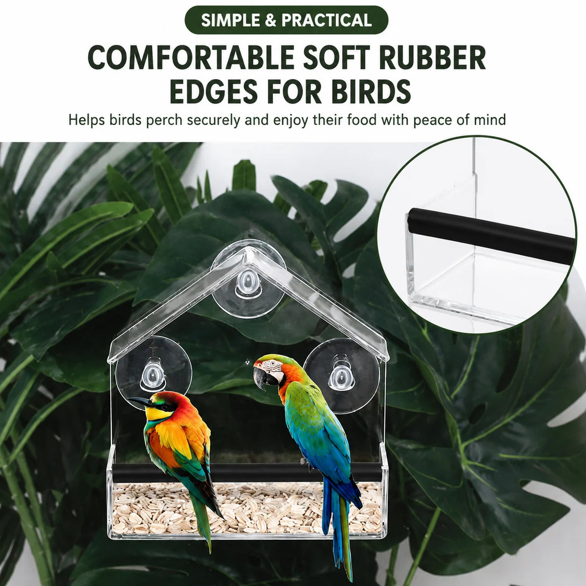 Window Bird Feeder Clear View Suction Cup Mounting Spacious Seed Tray