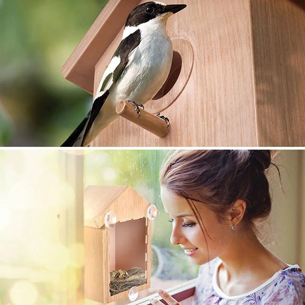 Window Bird Feeder Suction Cup Mount Removable for Easy Cleaning