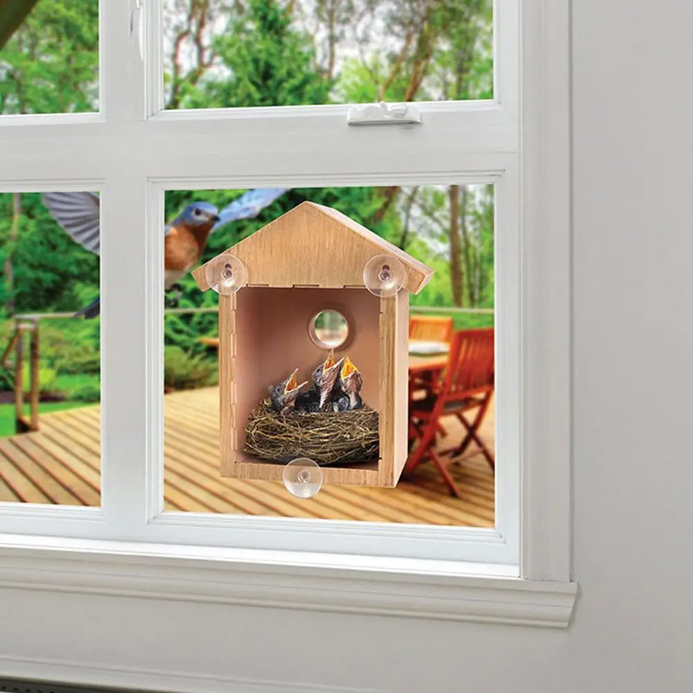 Window Bird Feeder Suction Cup Mount Removable for Easy Cleaning