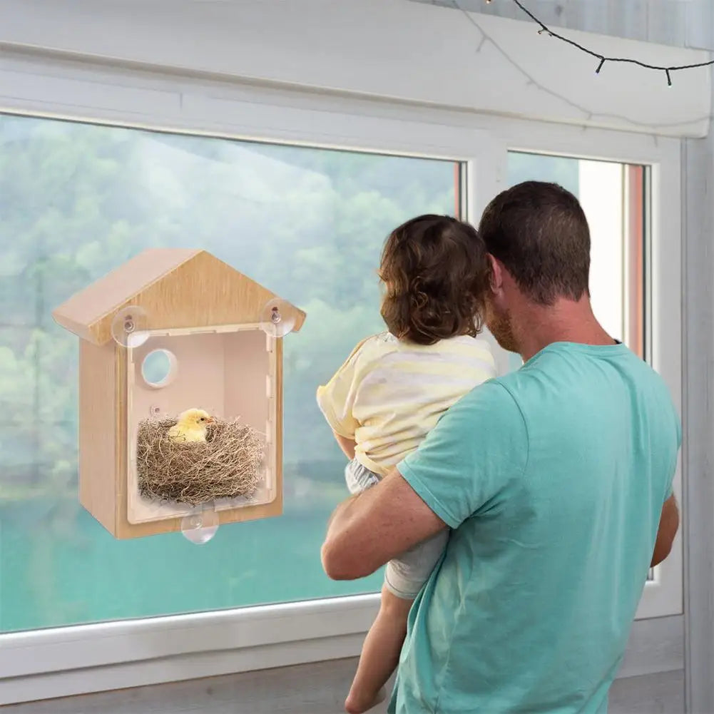 Window Bird Feeder Suction Cup Mount Removable for Easy Cleaning