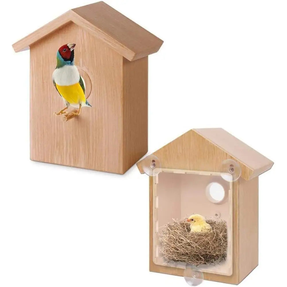 Window Bird Feeder Suction Cup Mount Removable for Easy Cleaning