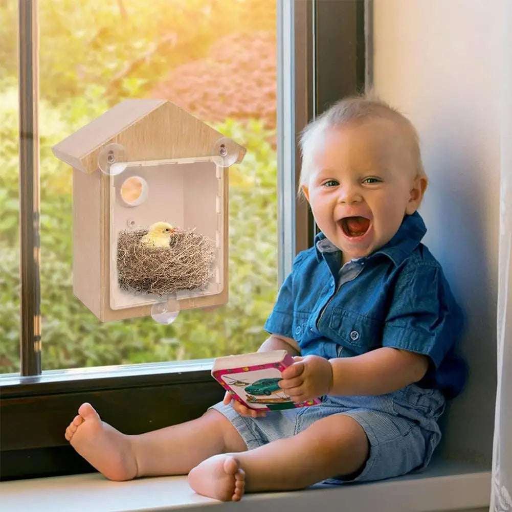 Window Bird Feeder Suction Cup Mount Removable for Easy Cleaning