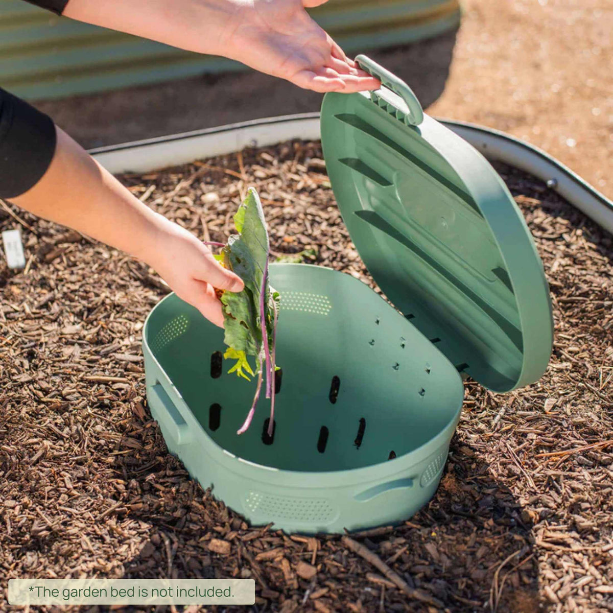 Worm Composter In-Ground Garden Bed Ventilated Side Openings