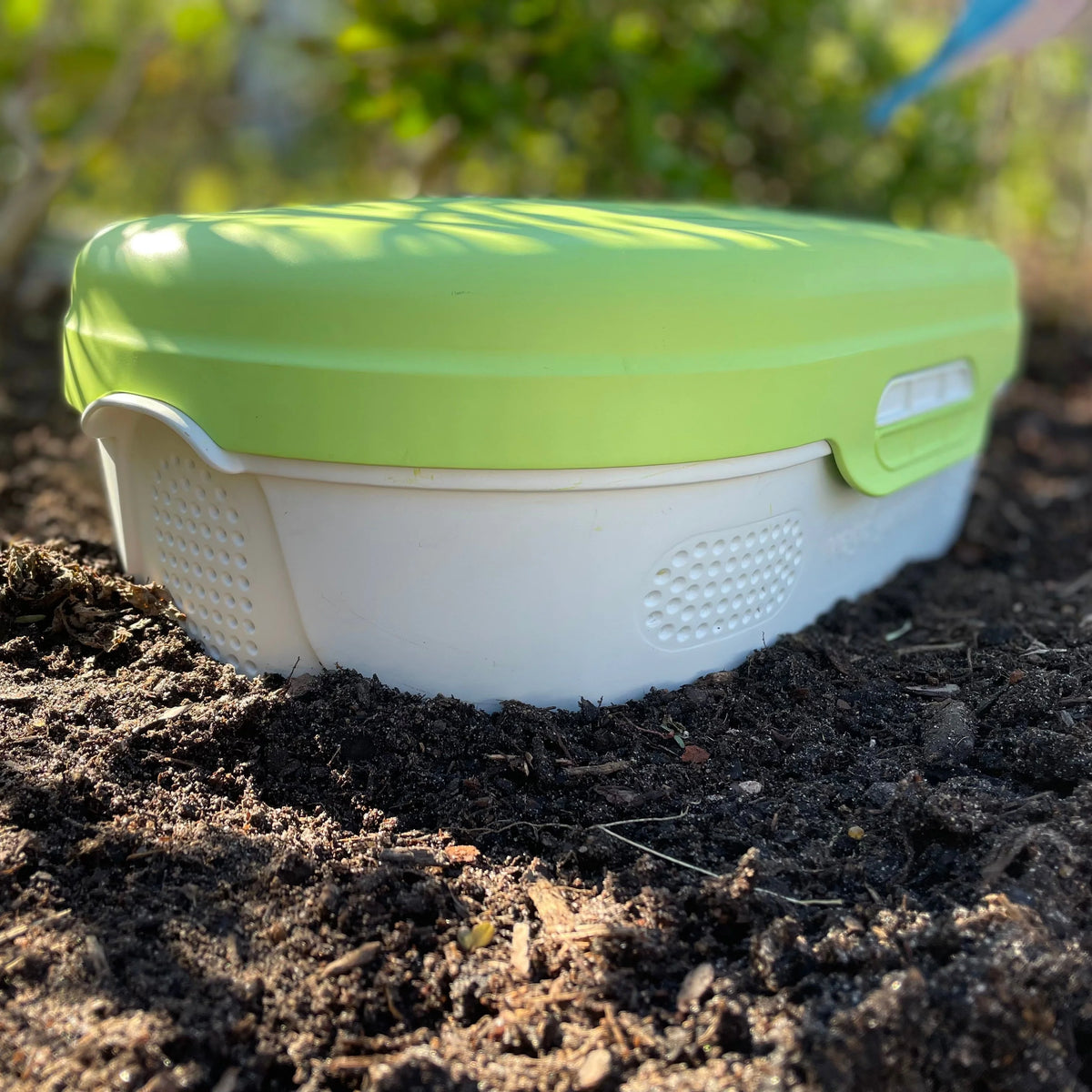 Worm Composter In-Ground Garden Bed Ventilated Side Openings