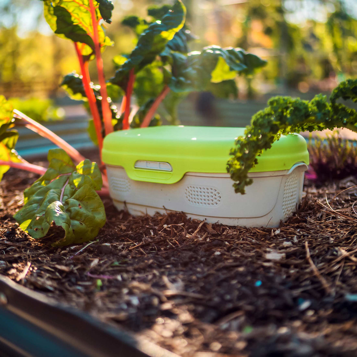 Worm Composter In-Ground Garden Bed Ventilated Side Openings